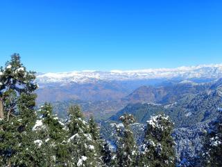 Surya Resort Dalhousie - Dalhousie - 0
