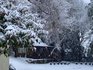 Willow Lodge - 0
