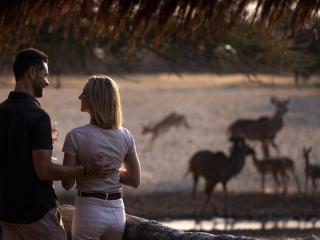 Evolve Back Kalahari - 6