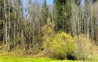 Ferienwohnung-Annaberg - Annaberg im Lammertal - 3