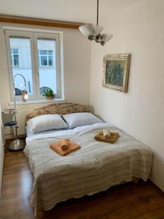 Apartmán POD LAMPOU - Saar - 8