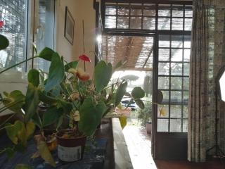 BB Villa Bolgheri Mare - 6
