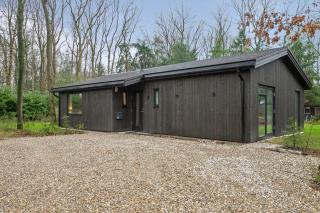 Nieuwe luxe villa in het bos - Zorgvlied - 1