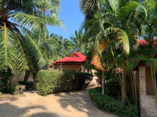 Blackberry - Rawai Beach - 4
