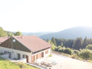 Gites les Plombes - Xonrupt-Longemer - 9