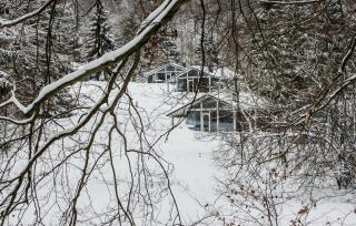 Cozy Home In Ruhla With Sauna - Ruhla - 3