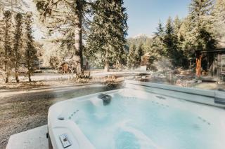 54SL - Hot Tub - Pets OK - Sleeps 4 cabin - Glacier - 8