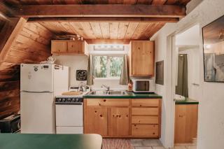 54SL - Hot Tub - Pets OK - Sleeps 4 cabin - 1