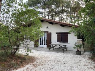 Piraillan Foret - Réf 2064 - 8