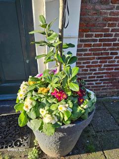 De Stadsboerderij - Kampen - 4