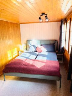Charming, well-equipped Alpine apartment - Kandersteg - 3