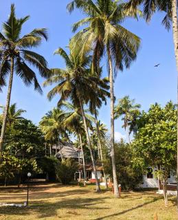 Baycliff Cottages - Varkala - 5