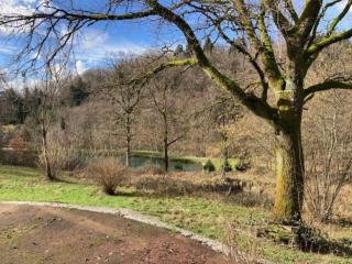 Le gîte du Chat Sauvage - 4