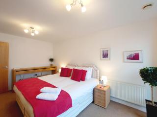 London ExCeL Stays - Three Bed Serviced Apartment - Londra - 7