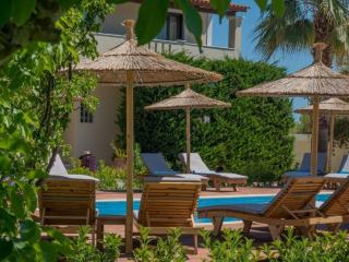 Ionian Coco Palm Beach Villas - Tsilivi - 3