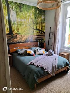 Maison papillon - 4