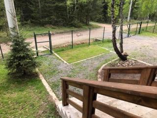 Cabana din padure si casutele din copac Belis - 1