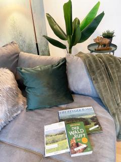 Magic Forest Design Apartment, 65 Zoll TV, Waschtrockner, beste Lage, am Markt - Gera - 6