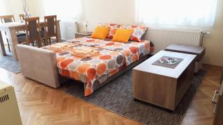 Apartman SN - Vrnjačka Banja - 4