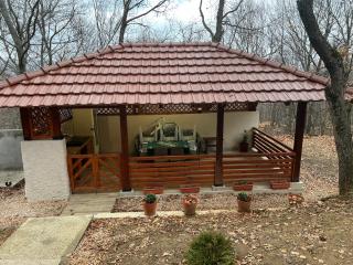 Mountain Vila in Ponikva - 1