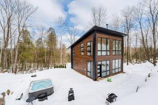 Cozy and beautiful chalet - Harrington - 9