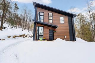 Cozy and beautiful chalet - Harrington - 1