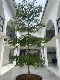 Maria Cristina - Ciudad Valles - 9