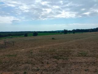 Gîte familial à charras ( 3 étoiles ) - 7