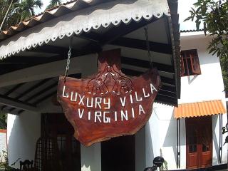 Villa Luxury Virginia With Pool and garden - 7