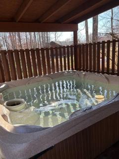 Deluxe Cabin #15 with Hot Tub on Patoka Lake in Southern Indiana - 6