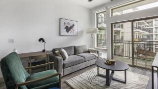 Landing Modern Apartment with Amazing Amenities ID1803X13 - Houston - 0