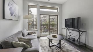 Landing Modern Apartment with Amazing Amenities ID1803X13 - Houston - 9