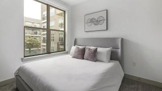 Landing Modern Apartment with Amazing Amenities ID1803X13 - Houston - 2