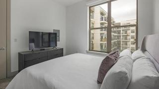 Landing Modern Apartment with Amazing Amenities ID1803X13 - Houston - 1