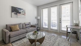 Landing Modern Apartment with Amazing Amenities ID1804X66 - Bee Cave - 8