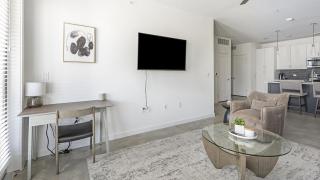 Landing Modern Apartment with Amazing Amenities ID1804X66 - Bee Cave - 7