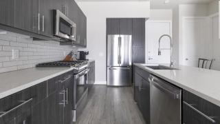 Landing Modern Apartment with Amazing Amenities (ID1802X92) - Houston - 4