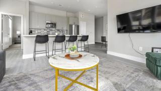 Landing Modern Apartment with Amazing Amenities (ID1802X54) - Austin - 7