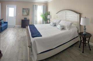 Tranquil Breezes - Belleair Bluffs - 3