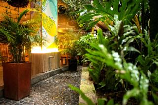Green Hotel Natural Medellin - 5