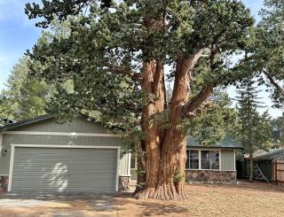 1987 Cherokee St, home - South Lake Tahoe - 9