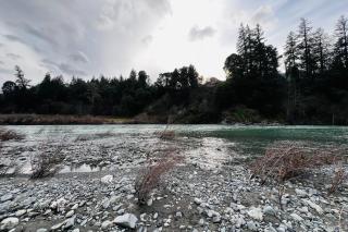 Riverfront Oasis - Salyer - 9