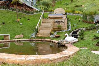 Zen Medellin MAYA - 4