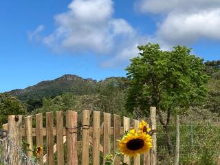 Chalé Nova Aurora - 3