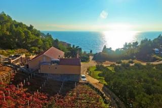 Isolated apartments with a swimming pool Cove Tvrdni Dolac, Hvar - 6112 - Gdinj - 9