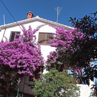 Apartments by the sea Basina, Hvar - 4620 - 8