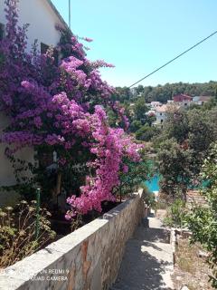 Apartments by the sea Basina, Hvar - 4620 - Basina - 3