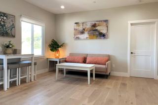 Elegant new 1B1B attached suite at East Milpitas - Milpitas - 5