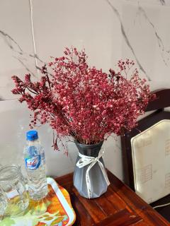 Duc Thao Guest House - 3