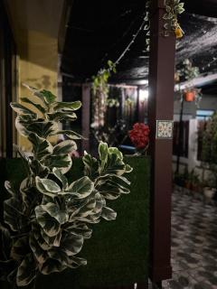 MyDream Wedding Perfect Landed Home - 6